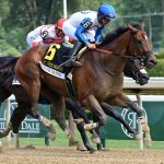 Bookem Danno - the True North -Coglianese Photo