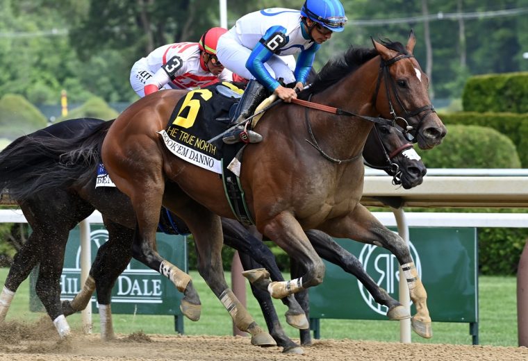 Bookem Danno - the True North -Coglianese Photo
