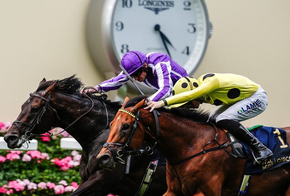 Bow Echo (near) wins the St James's Palace Stakes (credit: Megan Rose Photography)