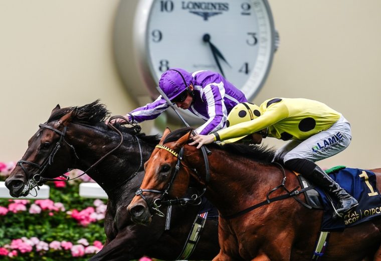 Bow Echo (near) wins the St James's Palace Stakes (credit: Megan Rose Photography)