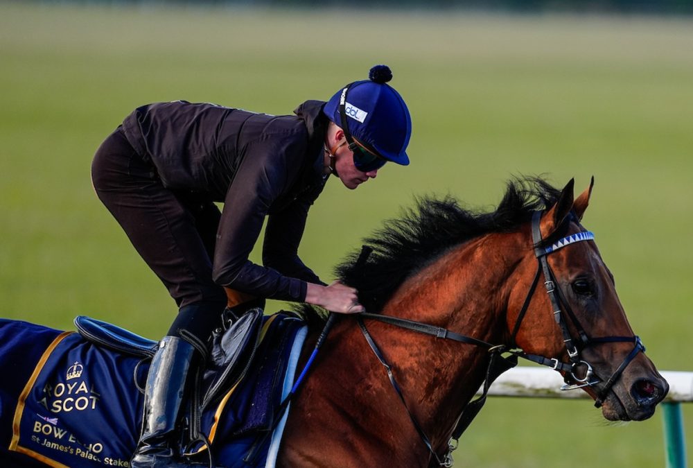 Bow Echo - credit Royal Ascot Media