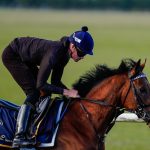 Bow Echo - credit Royal Ascot Media