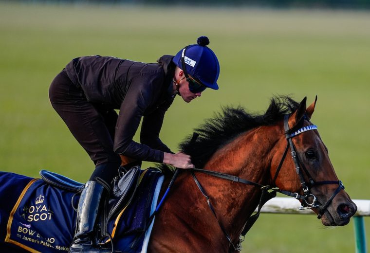 Bow Echo - credit Royal Ascot Media