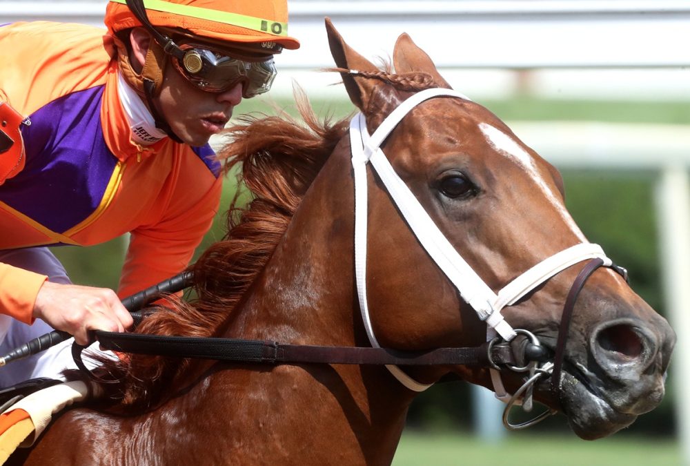 Irad Ortiz Jr. - Coady Media
