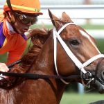 Irad Ortiz Jr. - Coady Media