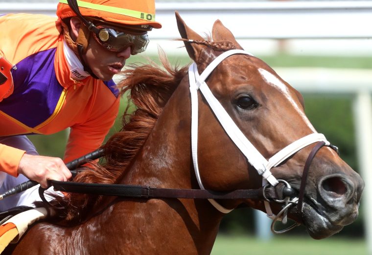 Irad Ortiz Jr. - Coady Media