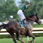 Golden Tempo - the Belmont Stakes - Coglianese Photo