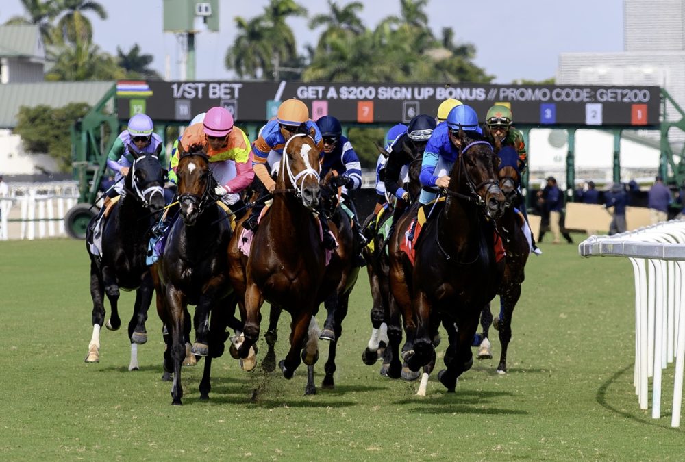 Gulfstream scene – Ryan Thompson – Coglianese Photo