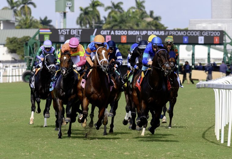 Gulfstream scene – Ryan Thompson – Coglianese Photo