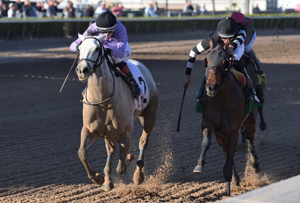 Haute Diva - Ryan Thompson - Coglianese Photo