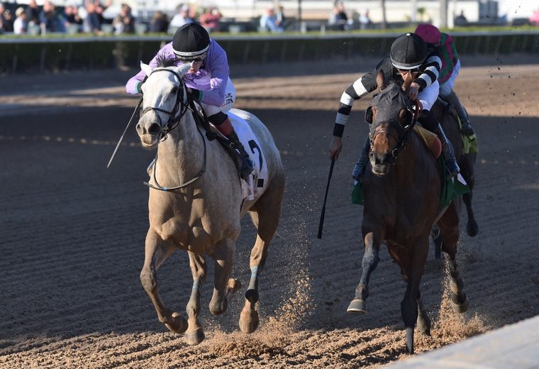 Haute Diva - Ryan Thompson - Coglianese Photo