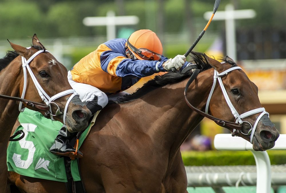 Lilo Lil and jockey Emisael Jaramillo – BENOIT PHOTO