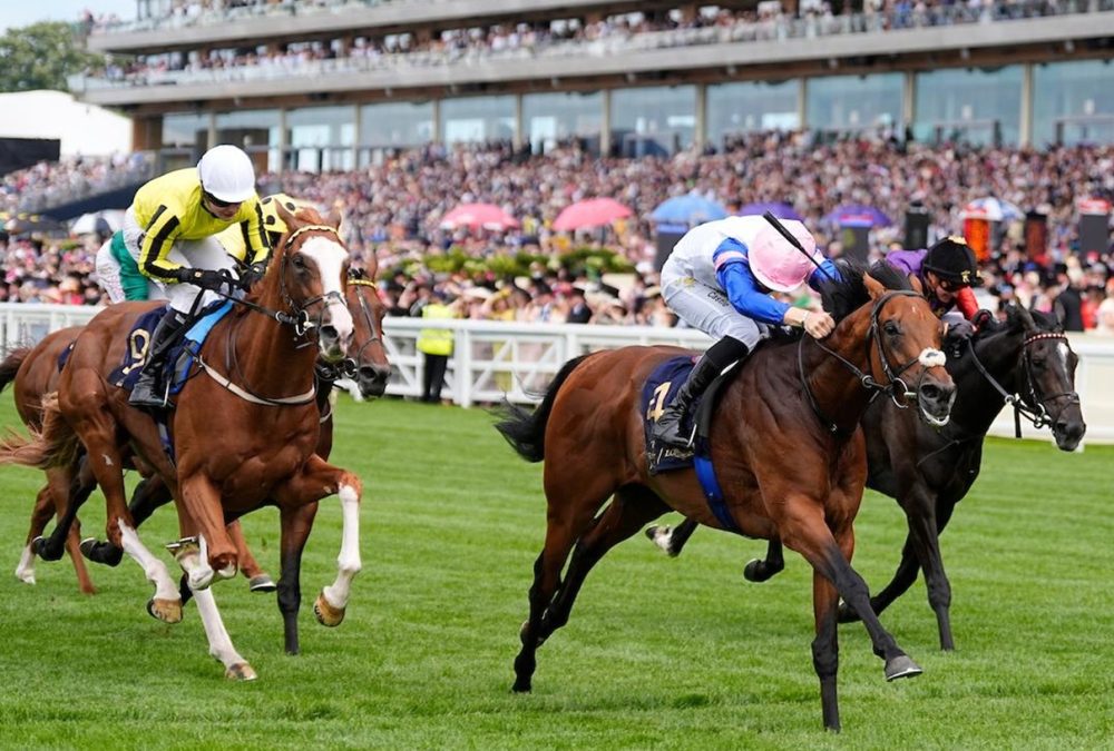 Limestone wins the Queen's Vase (credit: Megan Rose Photography)