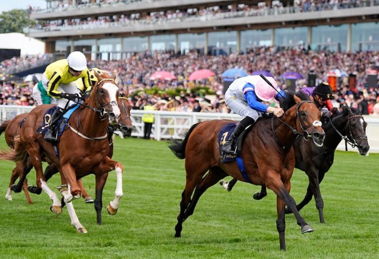Limestone wins the Queen's Vase (credit: Megan Rose Photography)