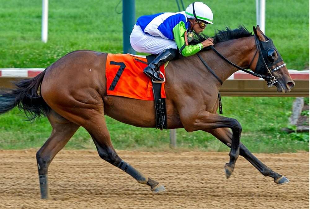 Luv Your Neighbor – The Delaware Oaks G3 – Mary Lyons – Hoofprints Inc