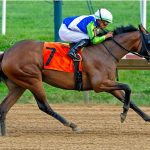 Luv Your Neighbor – The Delaware Oaks G3 – Mary Lyons – Hoofprints Inc