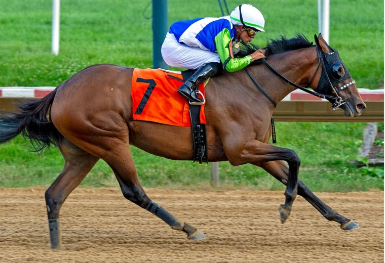 Luv Your Neighbor – The Delaware Oaks G3 – Mary Lyons – Hoofprints Inc