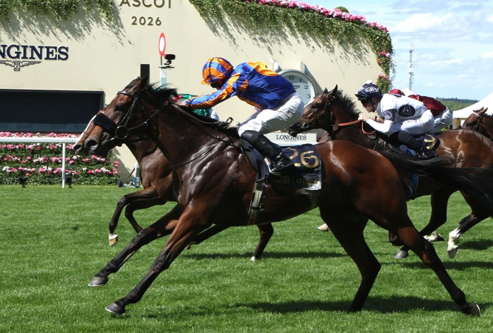 Mission Central - Royal Ascot 2026 - Coady Media USA