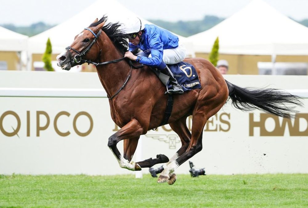 Ombudsman wins the Prince Of Wales's Stakes (credit: Megan Rose Photography)