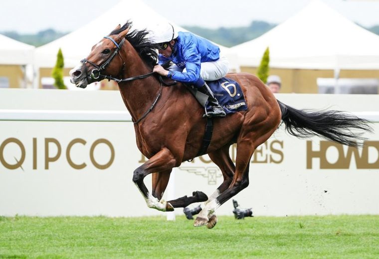 Ombudsman wins the Prince Of Wales's Stakes (credit: Megan Rose Photography)