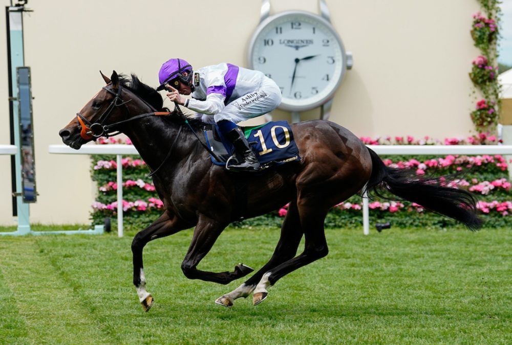 Orthodox wins the Norfolk Stakes (credit: Megan Rose Photography)