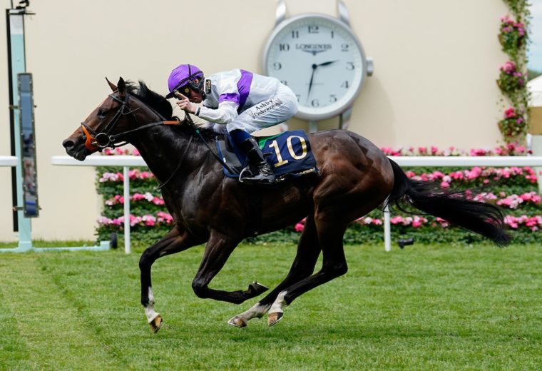 Orthodox wins the Norfolk Stakes (credit: Megan Rose Photography)
