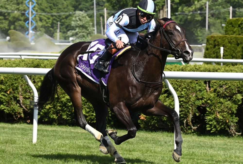 Roja - the Intercontinental - Coglianese Photo