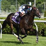 Roja - the Intercontinental - Coglianese Photo