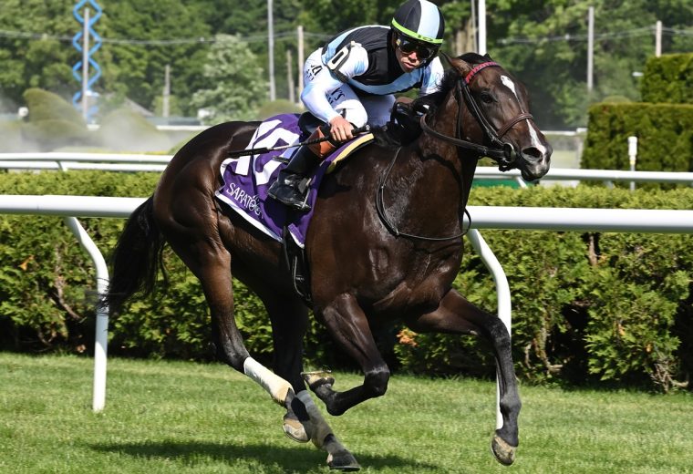 Roja - the Intercontinental - Coglianese Photo