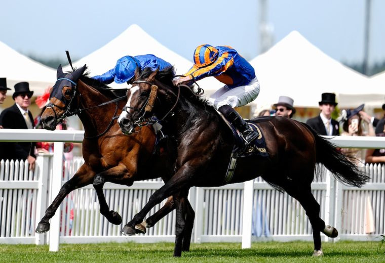 Scandinavia wins the Gold Cup (credit: Megan Rose Photography)