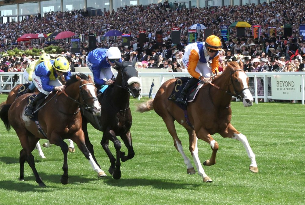 Ten Bob Tony - Royal Ascot 2026 - Coady Media USA