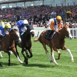 Ten Bob Tony - Royal Ascot 2026 - Coady Media USA