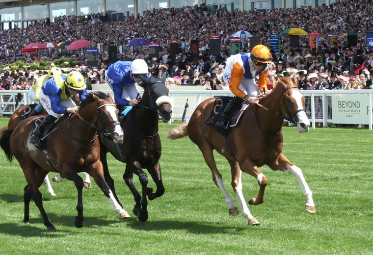 Ten Bob Tony - Royal Ascot 2026 - Coady Media USA