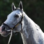 White Abarrio – Rtyan Thompson - Coglianese photo