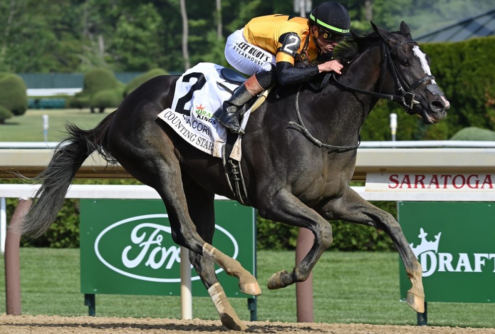 COunting Stars - Acorn G1 - Coglianese Photo