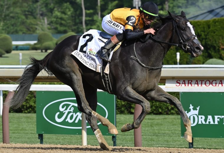 COunting Stars - Acorn G1 - Coglianese Photo