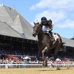 Saratoga - Coglianese Photo