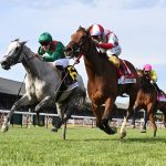 Portfolio Duration (GB) - New York G1 - Coglianese Photo