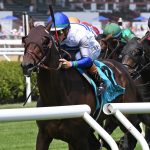 West End Kid - Pennine Ridge credit Chelsea Durand - Coglianese Photo