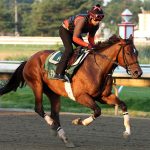 Book'em Danno - Photo By Bill Denver/EQUI-PHOTO