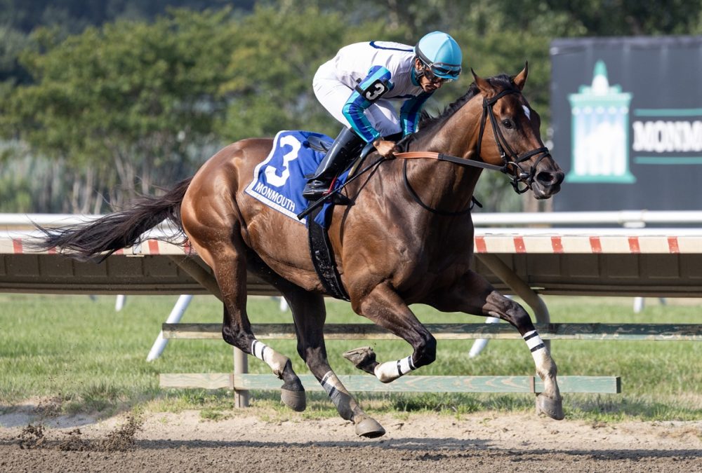 Book’em Danno – Mr Prospector Stakes – Photo By Taylor Ejdys/EQUI-PHOTO