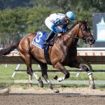 Book’em Danno – Mr Prospector Stakes – Photo By Taylor Ejdys/EQUI-PHOTO