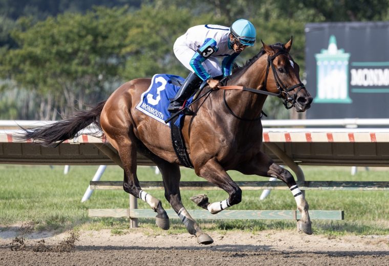 Book’em Danno – Mr Prospector Stakes – Photo By Taylor Ejdys/EQUI-PHOTO