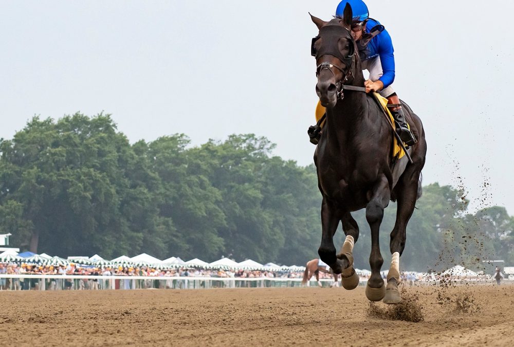 Knightsbridge – Grade III Monmouth Cup at Monmouth Park Racetrack – Photo By Ryan Denver/EQUI-PHOTO
