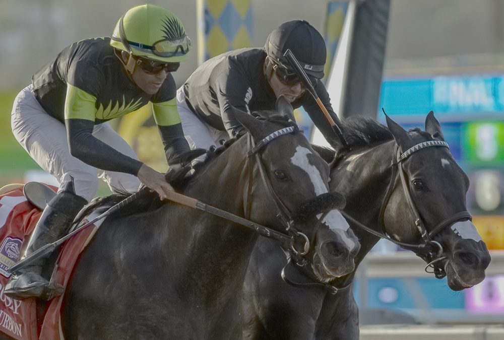 Listenupshance – Bing Crosby Stakes G1 – Del Mar – BENOIT PHOTO