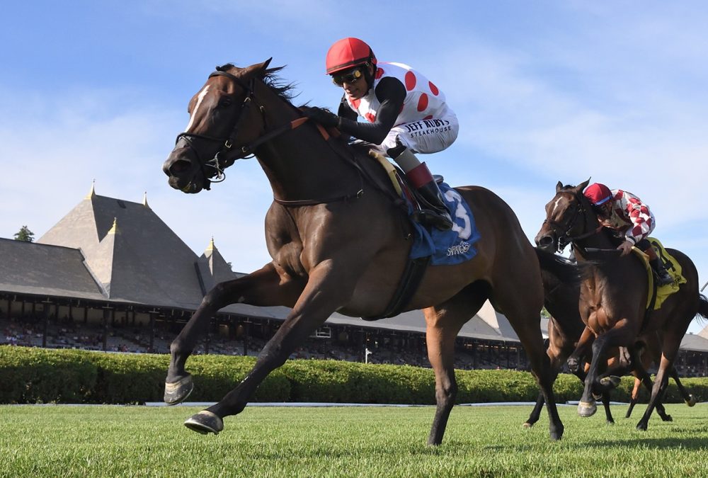 And One More Time - De La Rose Stakes - Coglianese Photo