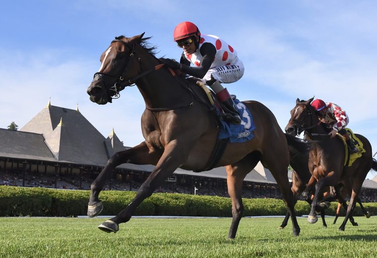And One More Time - De La Rose Stakes - Coglianese Photo
