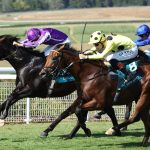 Bow Echo (credit: Goodwood Racecourse)