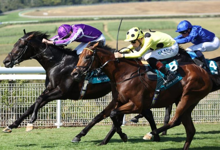 Bow Echo (credit: Goodwood Racecourse)