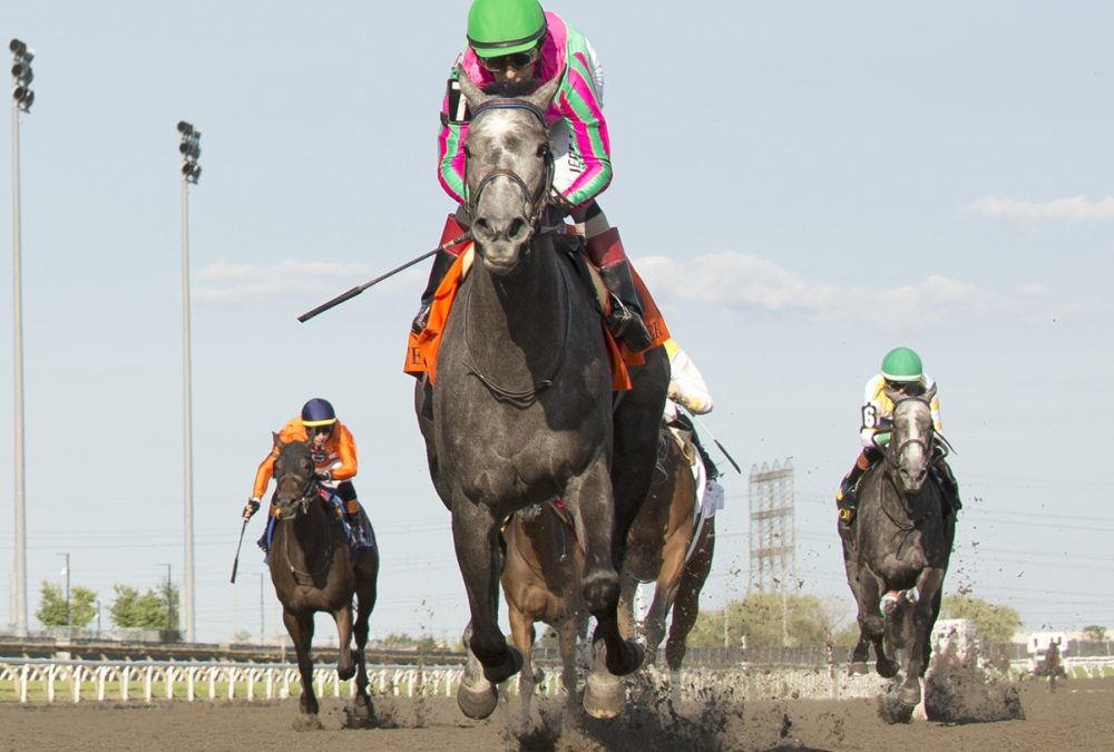 Luster – Woodbine Oaks – -Woodbine/ Michael Burns Photo